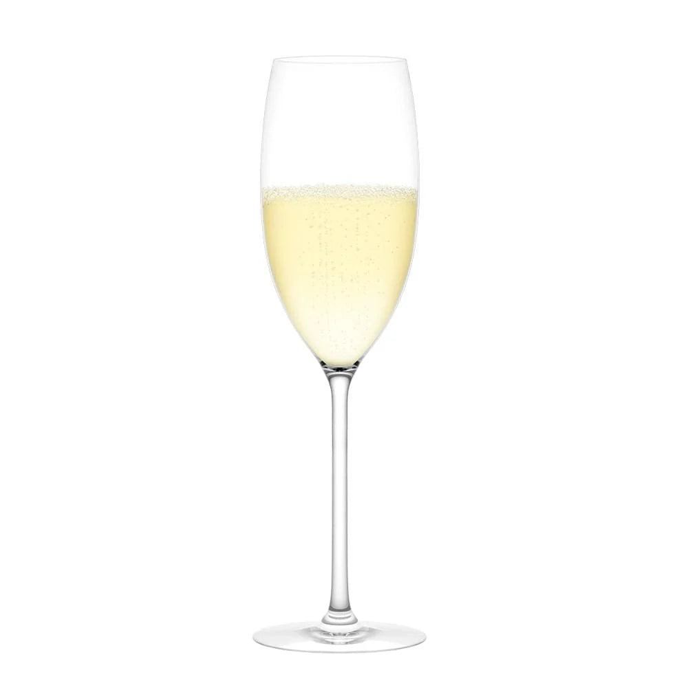 Plumm Sparkling Wine Glasses (255ml) - Set of 2 Style and Error