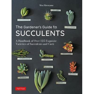 Bridget - succulents book Style and Error 