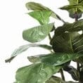 Fiddle Leaf Tree 92cm All Products vendor-unknown 